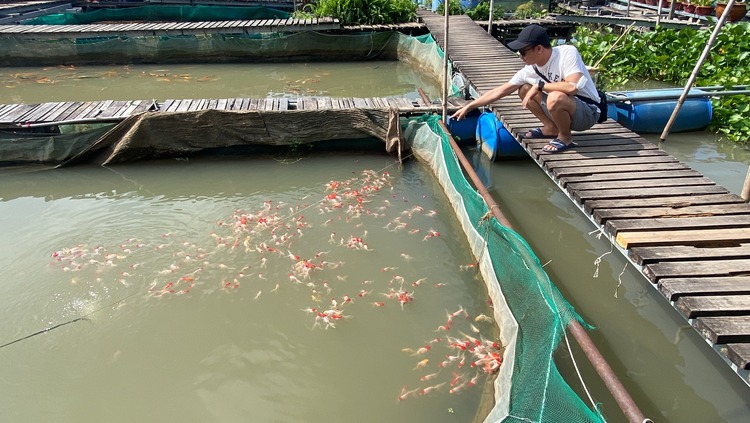 Hành trình đi chơi Tết 2023 (Hà Tiên - Phú Quốc - Cần Thơ)