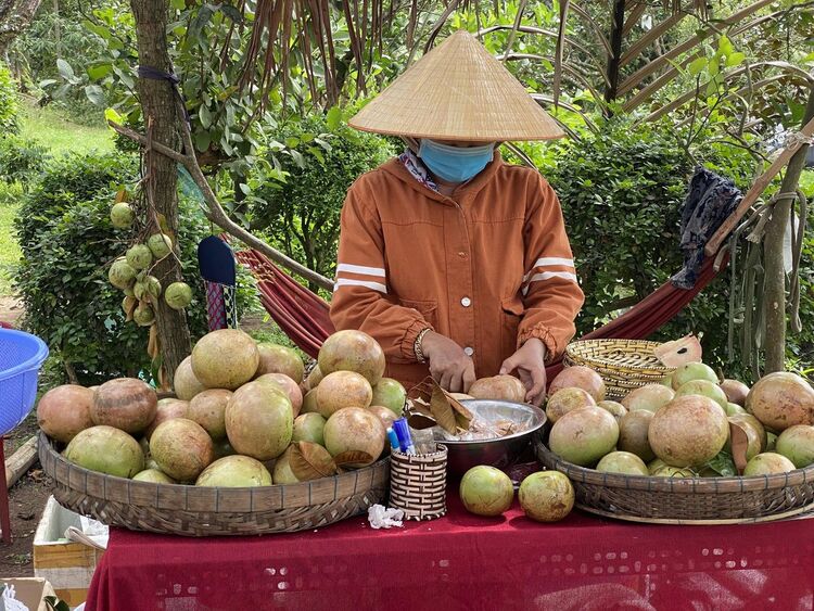 Hành trình đi chơi Tết 2023 (Hà Tiên - Phú Quốc - Cần Thơ)