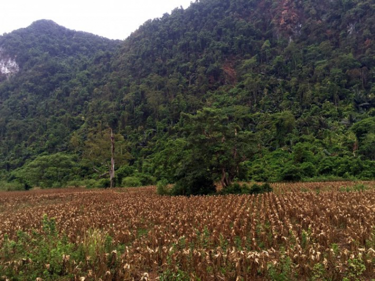 Xuyên Việt 31 ngày- Hè 2015 Xuyên Việt 31 ngày- Hè 2015