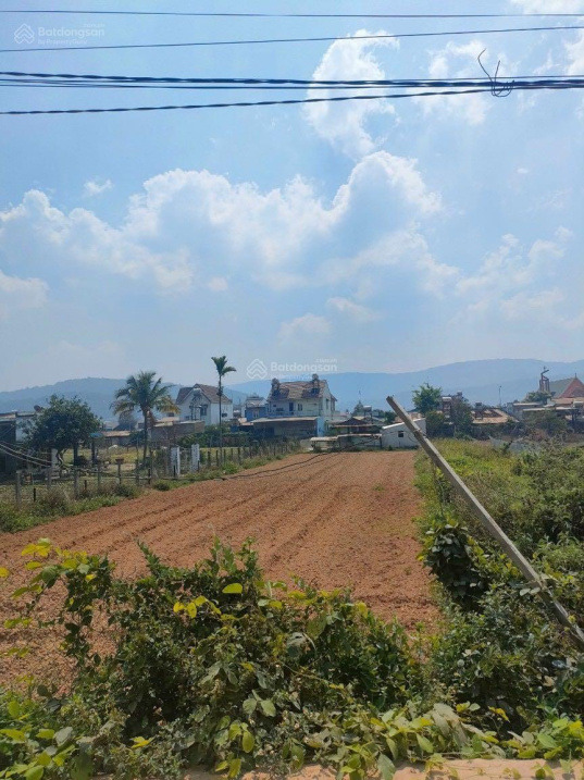 BĐS Đà Lạt- Mua đâu cách Đà Lạt, sân bay 20km? BĐS Đà Lạt- Mua đâu cách Đà Lạt, sân bay 20km?