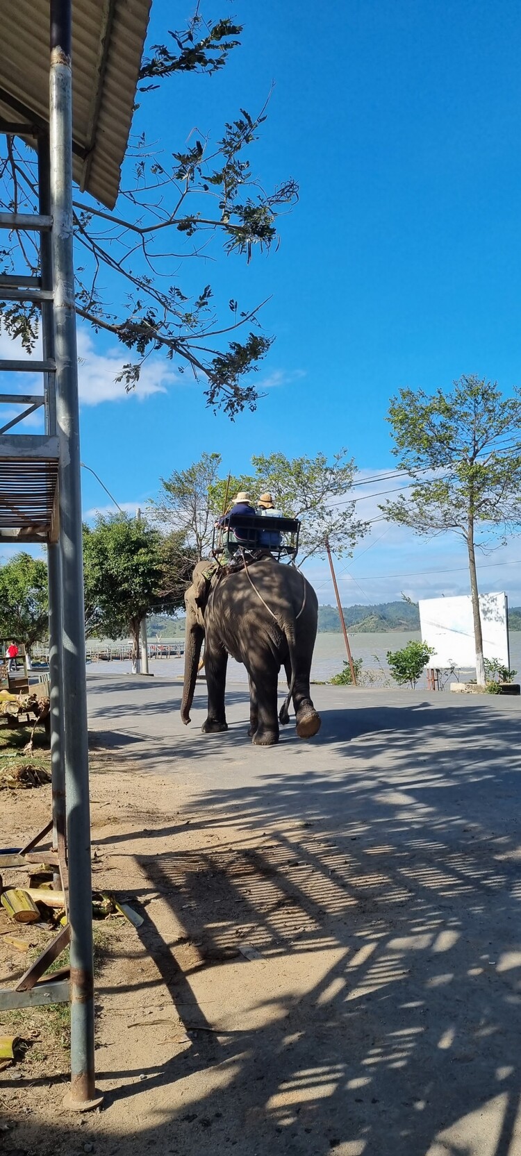 Tây Nguyên, đi về phía đại ngàn