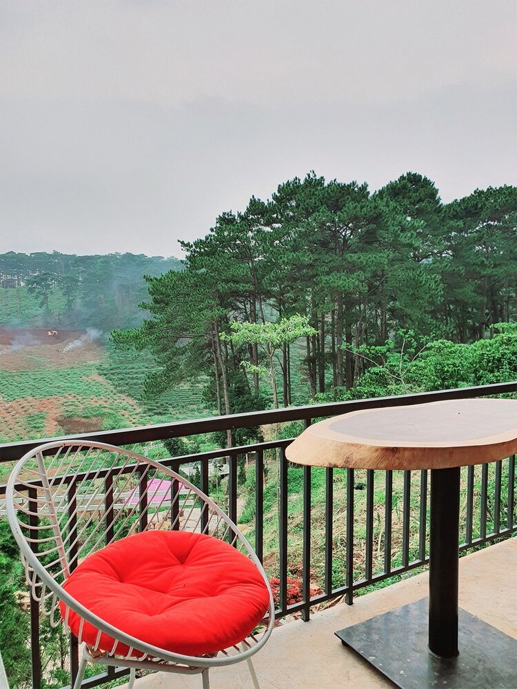 Amoris Garden - Quán cafe bình yên trên đồi thông Amoris Garden - Quán cafe bình yên trên đồi thông