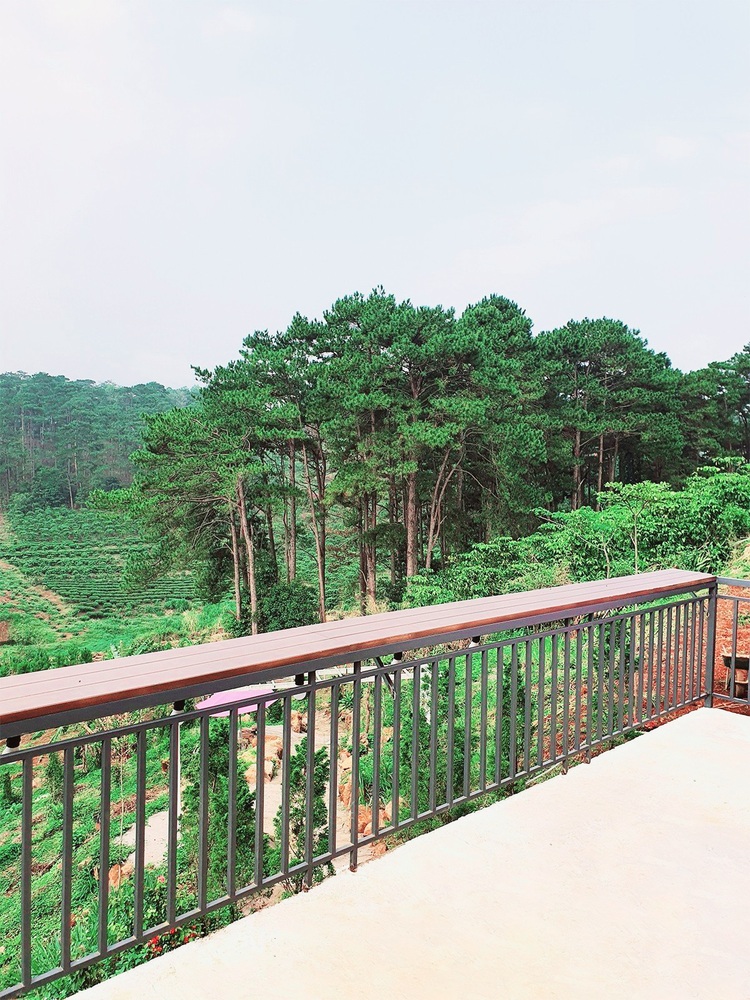 Amoris Garden - Quán cafe bình yên trên đồi thông Amoris Garden - Quán cafe bình yên trên đồi thông