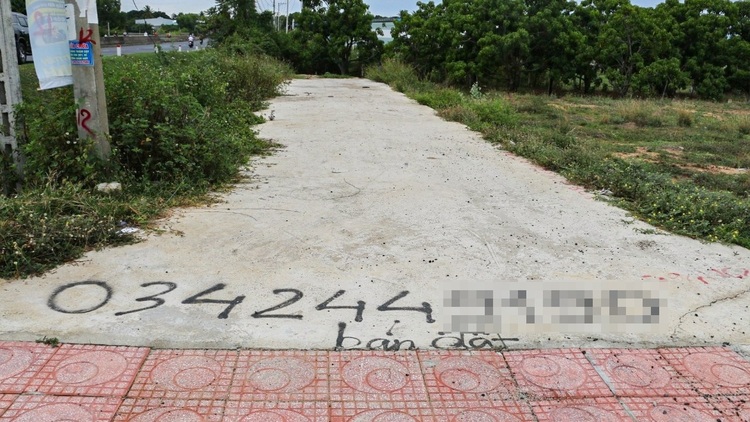 Gần 2.400 thửa đất liên quan hiến đất làm đường tại Cam Lâm, Khánh Hoà được giao dịch trở lại