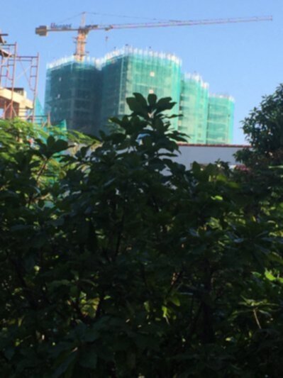 Cập nhập tiến độ MetroPolis Thảo điền - Masteri Cập nhập tiến độ MetroPolis Thảo điền - Masteri