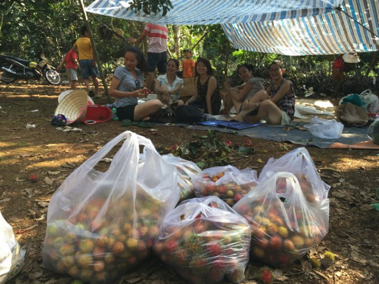 Xuyên Việt 31 ngày- Hè 2015 Xuyên Việt 31 ngày- Hè 2015