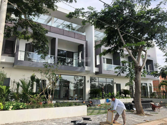 Tương lai Cần Giờ Tương lai Cần Giờ