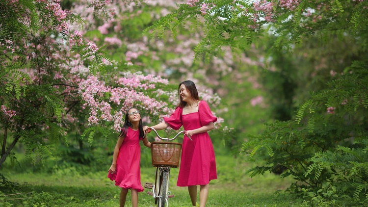 Vườn Quốc Gia Nam Cát Tiên - Những mùa hoa Bỏ Lại, Hoa Muồng Đào Tuyệt Đẹp, đi để cảm nhận chỉ có ta với nồng nàn