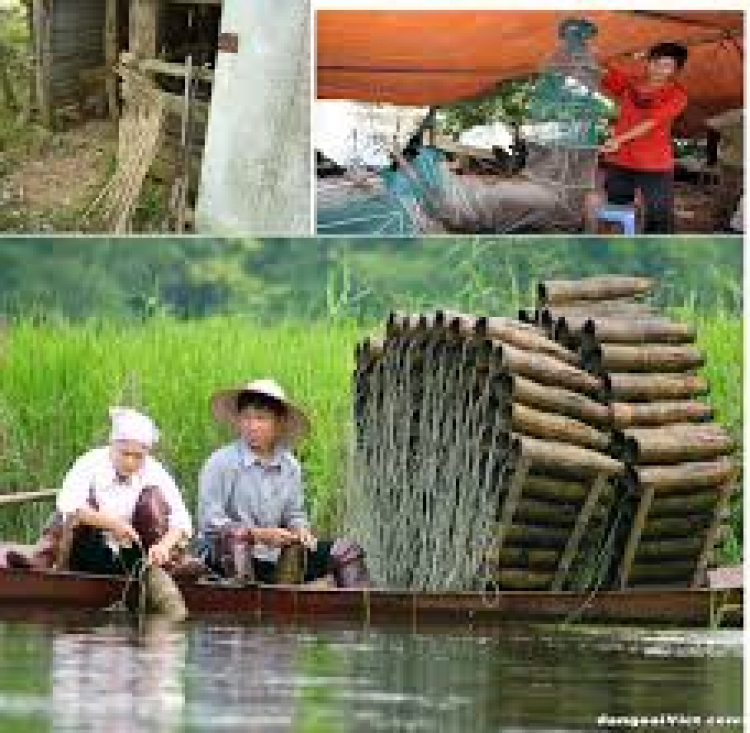 Đố tục giải thanh...Cái lờ là cái gì?