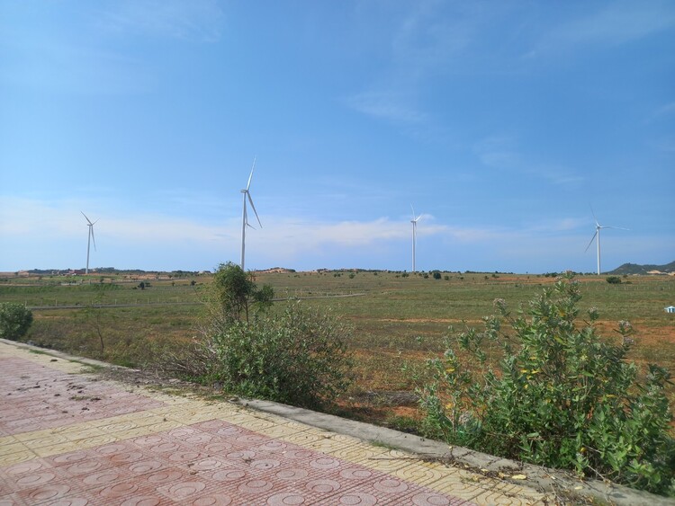 Lang Thang Mũi Né - Phan Rang - Đà Lạt