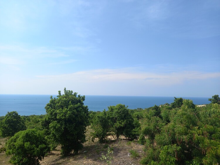 Lang Thang Mũi Né - Phan Rang - Đà Lạt