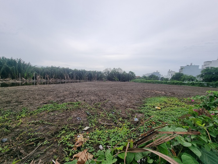 Tương lai Cần Giờ Tương lai Cần Giờ