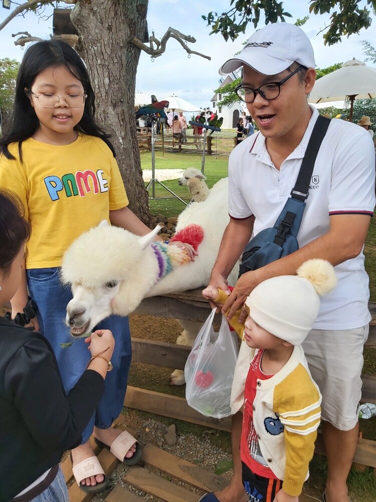 Bình Dương - Đà Lạt 2 ngày