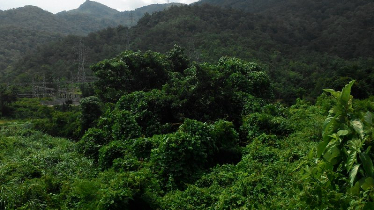 Phượt Buôn Ma Thuột (10-12/7/15) Phượt Buôn Ma Thuột (10-12/7/15)