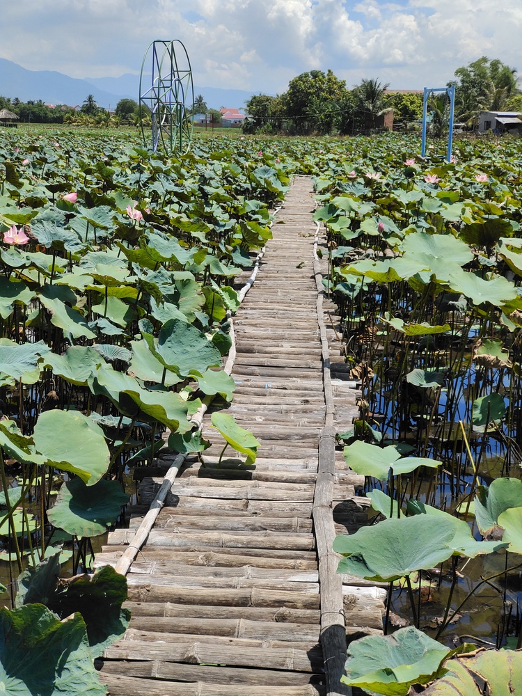 Xin tư vấn tour Dĩ An - Vĩnh Hy