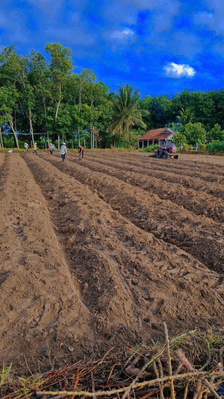 Thị trường đất đai Bà Rịa-Vũng Tàu??? Thị trường đất đai Bà Rịa-Vũng Tàu???