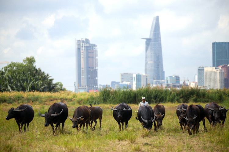 Đồng Nai muốn làm cầu Cát Lái trước 2025, TP.HCM đề xuất lùi tới sau năm 2030 Đồng Nai muốn làm cầu Cát Lái trước 2025, TP.HCM đề xuất lùi tới sau năm 2030