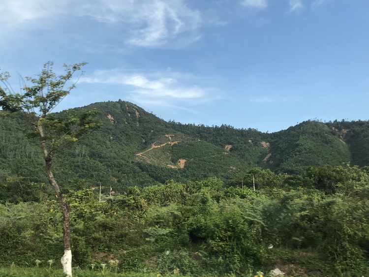 Hành trình Hè 2023: Sài Gòn - Đà Nẵng - Sài Gòn Hành trình Hè 2023: Sài Gòn - Đà Nẵng - Sài Gòn