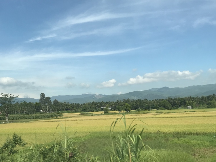 Hành trình Hè 2023: Sài Gòn - Đà Nẵng - Sài Gòn