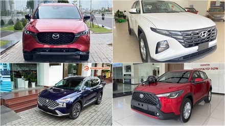 CUV 5 cho.jpg