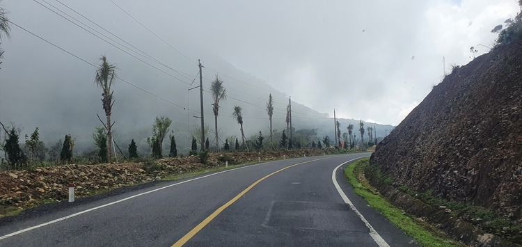 Tư vấn Sài Gòn - Đà Lạt - Nha Trang cho người đi lần đầu