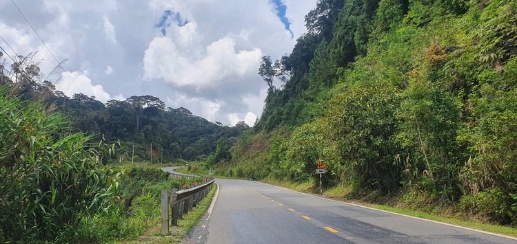 Tư vấn Sài Gòn - Đà Lạt - Nha Trang cho người đi lần đầu