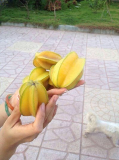 Lần đầu cưới vợ 2... Lần đầu cưới vợ 2...