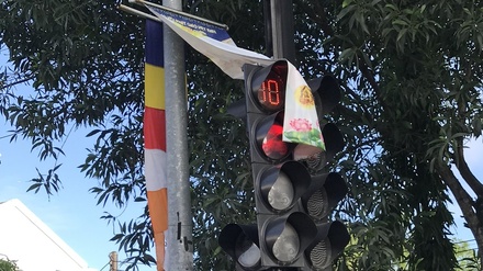 bang quang cao che den do.jpg