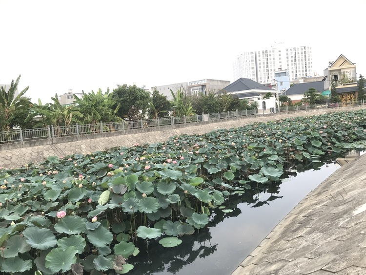 Cầu Vàm Thuật An Phú Đông Quận 12 bắc qua Phường 5 Gò Vấp đã thông xe 31/12/2020 đất An Phú Đông tăng nóng nhất Q.12 Cầu Vàm Thuật An Phú Đông Quận 12 bắc qua Phường 5 Gò Vấp đã thông xe 31/12/2020 đất An Phú Đông tăng nóng nhất Q.12