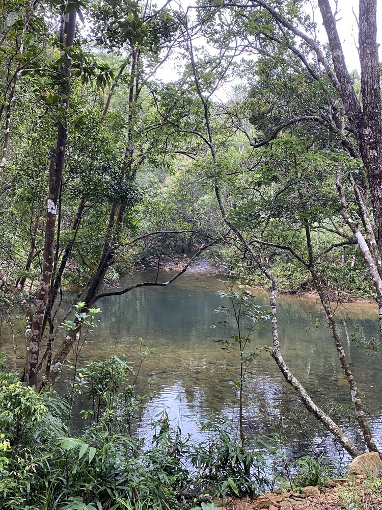 HUẾ - Đại Ngàn Ngựa Trắng