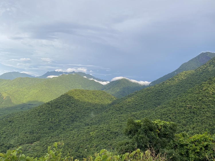 HUẾ - Đại Ngàn Ngựa Trắng