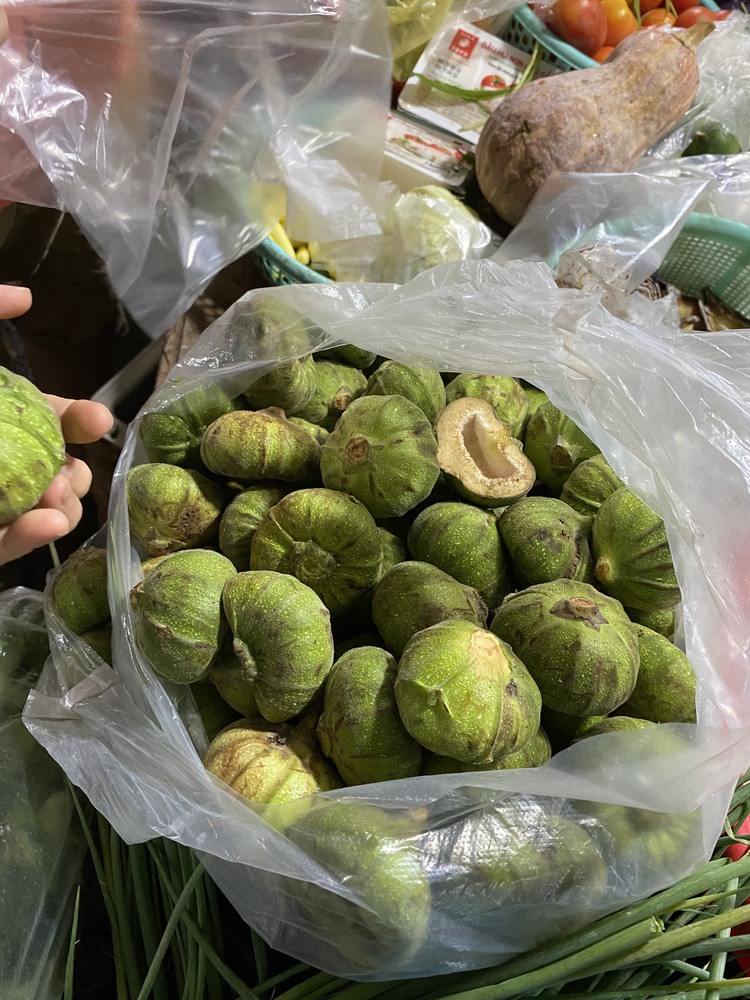 HUẾ - Đại Ngàn Ngựa Trắng HUẾ - Đại Ngàn Ngựa Trắng