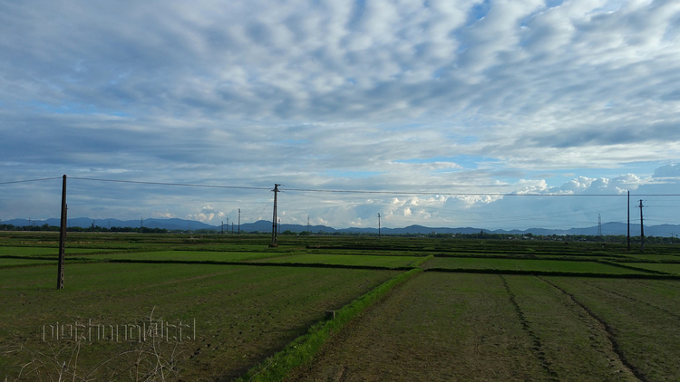 TVH's pic - Ha Tinh - 260616 (4).jpg TVH's pic - Ha Tinh - 260616 (4).jpg