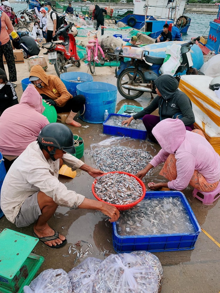 Lý Sơn - Hội An - Đà Nẵng 4 ngày 3 đêm (Hè 2023)