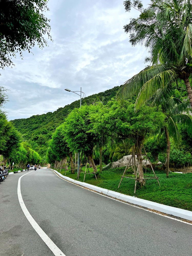 Lý Sơn - Hội An - Đà Nẵng 4 ngày 3 đêm (Hè 2023) Lý Sơn - Hội An - Đà Nẵng 4 ngày 3 đêm (Hè 2023)