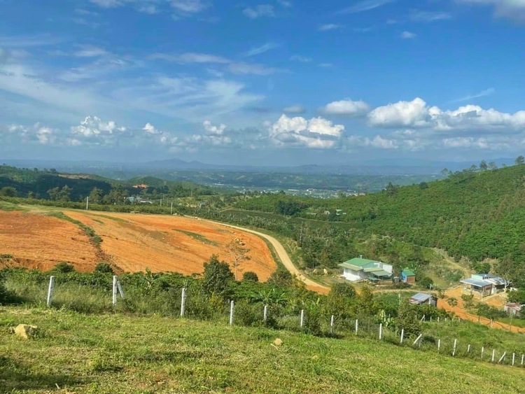 Hậu "cơn lốc" sốt đất tại Bảo Lộc, có nên đầu tư hay không?