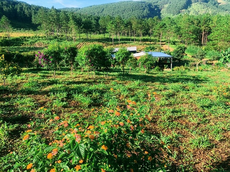 BĐS Đà Lạt- Mua đâu cách Đà Lạt, sân bay 20km? BĐS Đà Lạt- Mua đâu cách Đà Lạt, sân bay 20km?