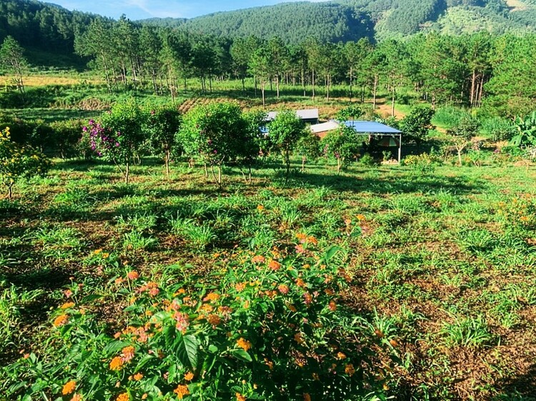 BĐS Đà Lạt- Mua đâu cách Đà Lạt, sân bay 20km?