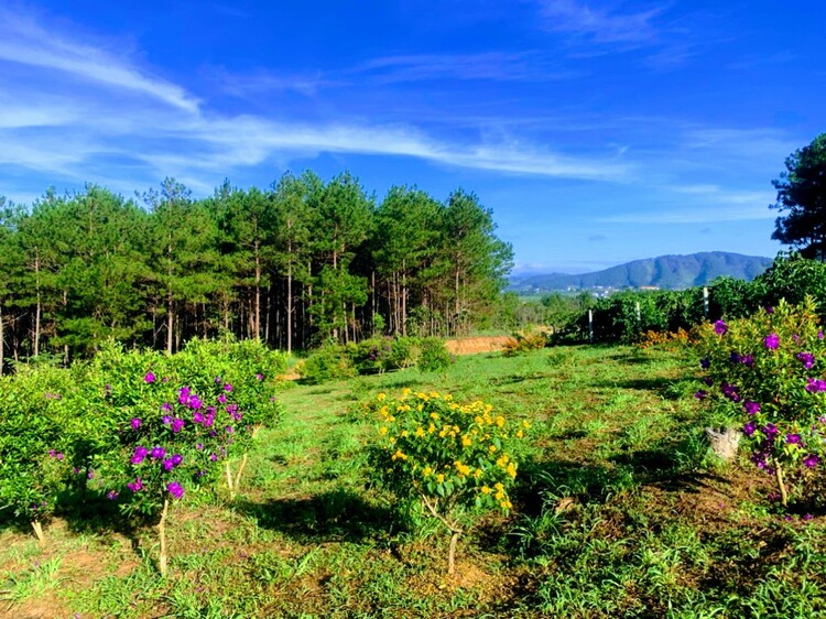 BĐS Đà Lạt- Mua đâu cách Đà Lạt, sân bay 20km?