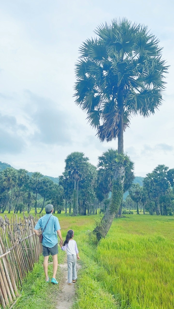 Ba ơi mình đi đâu thế? Cần Thơ - An Giang 4N3Đ (Mê mẩn Tri Tôn) Ba ơi mình đi đâu thế? Cần Thơ - An Giang 4N3Đ (Mê mẩn Tri Tôn)