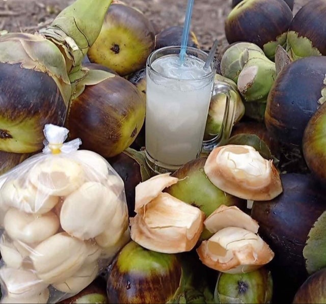 Ba ơi mình đi đâu thế? Cần Thơ - An Giang 4N3Đ (Mê mẩn Tri Tôn) Ba ơi mình đi đâu thế? Cần Thơ - An Giang 4N3Đ (Mê mẩn Tri Tôn)