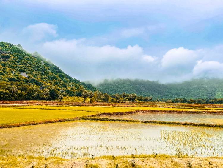 Ba ơi mình đi đâu thế? Cần Thơ - An Giang 4N3Đ (Mê mẩn Tri Tôn) Ba ơi mình đi đâu thế? Cần Thơ - An Giang 4N3Đ (Mê mẩn Tri Tôn)