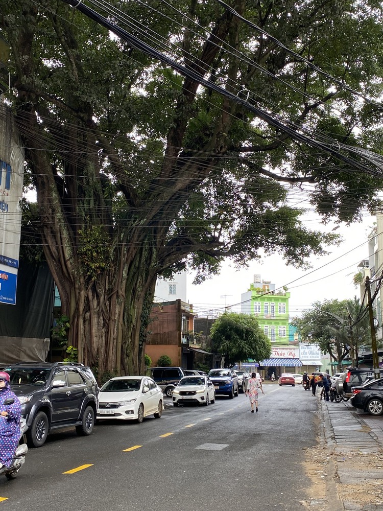 Đi ngang qua Tây Nguyên Đi ngang qua Tây Nguyên