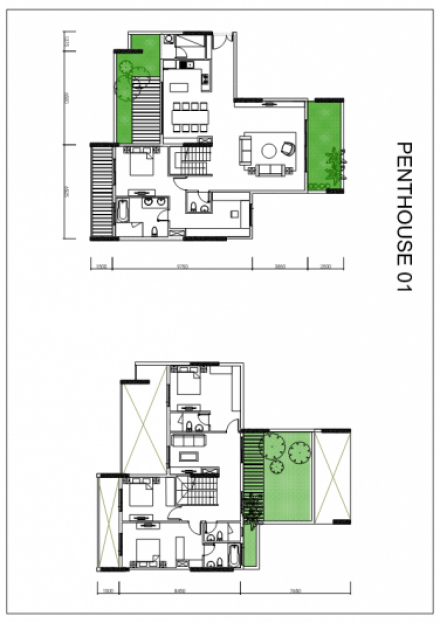 Layout dien hinh - Penthouse 2 tang_001.png