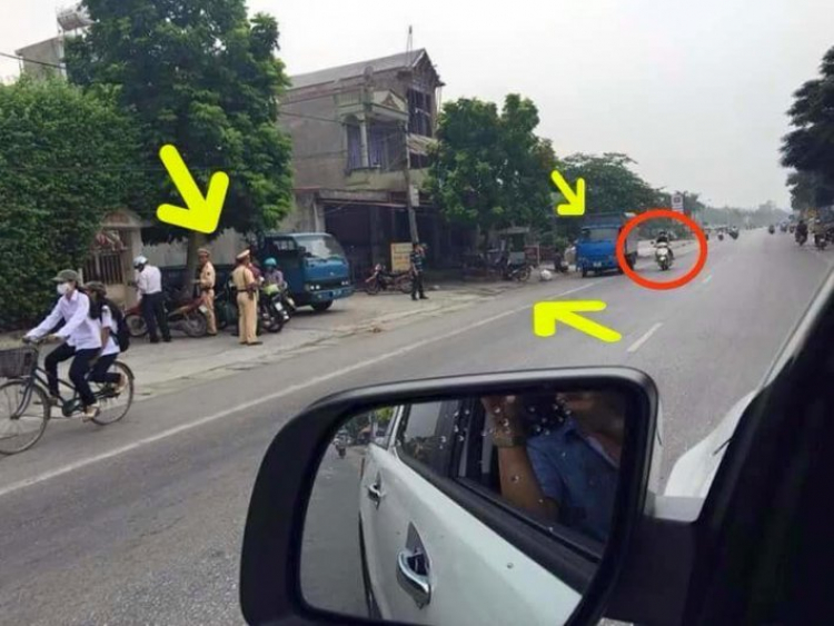Chim mồi đã bị bắn hạ... Chim mồi đã bị bắn hạ...
