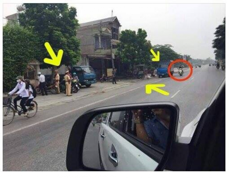 Chim mồi đã bị bắn hạ... Chim mồi đã bị bắn hạ...