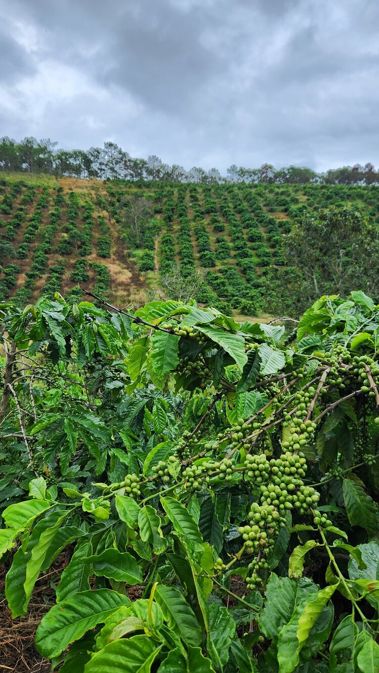 Phượt đèo Đại Ninh, Gia Bắc. 2 ngày 600km với Future thần thánh