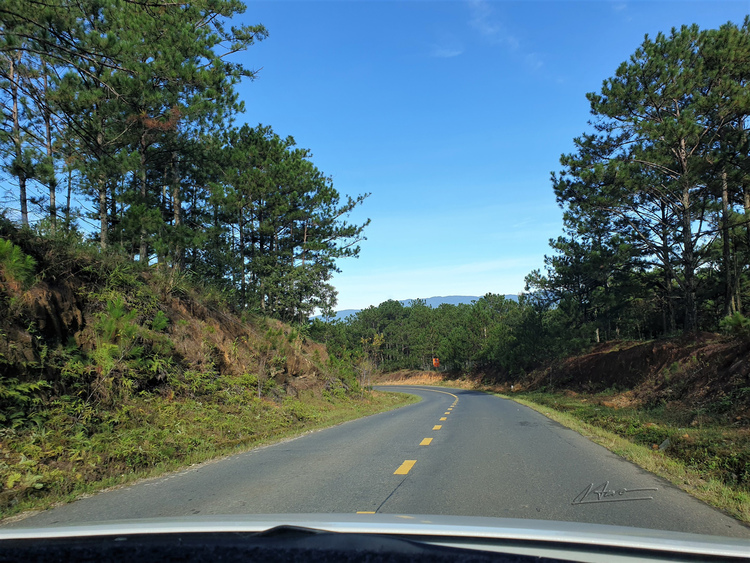 TVH's pic - DT726, TP Da Lat - 090923 (3).jpg TVH's pic - DT726, TP Da Lat - 090923 (3).jpg