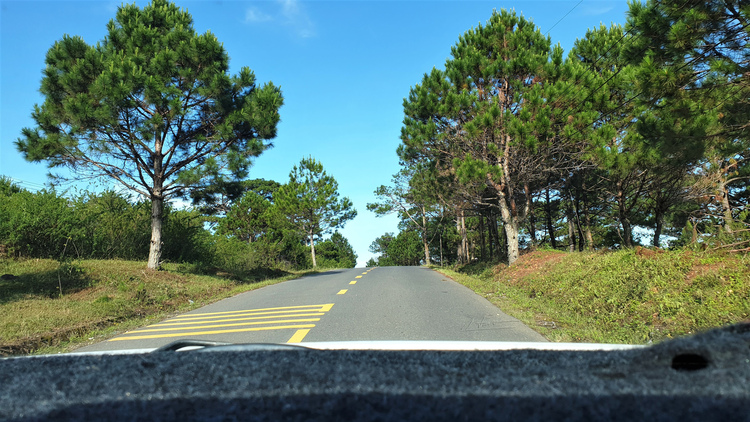 TVH's pic - DT726, TP Da Lat - 090923 (6).jpg TVH's pic - DT726, TP Da Lat - 090923 (6).jpg
