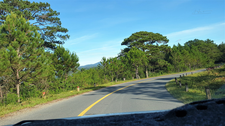 TVH's pic - DT726, TP Da Lat - 090923 (7).jpg TVH's pic - DT726, TP Da Lat - 090923 (7).jpg